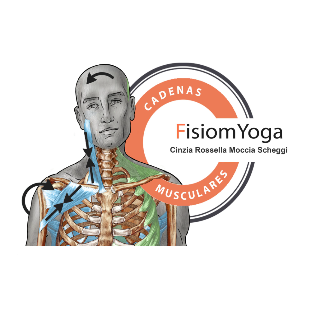 Cinzia 7 1000x1000 panda